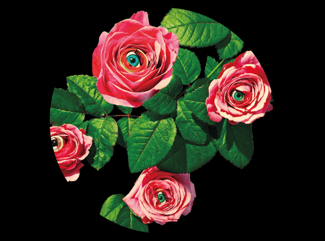 Responsive image